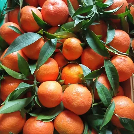 Casa Da Carmine A Appartamento