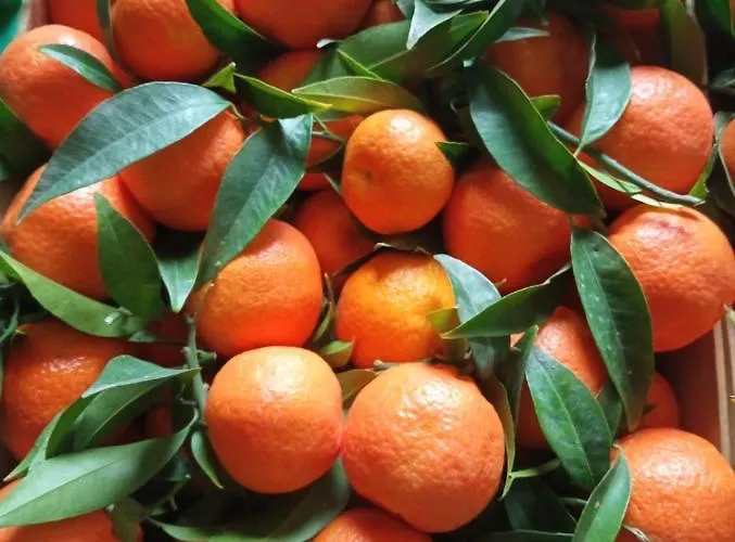 Casa Da Carmine A Appartamento